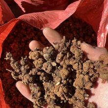 ��������Ϯa��؛Դ���l������Ұɽ������Ұ�S������N����