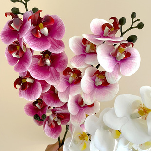 �m�� 8�^���滨�����m�Wʽ�Ҿ�ܛ�b�ָ��zƬ�ٻ���Y��c�b���