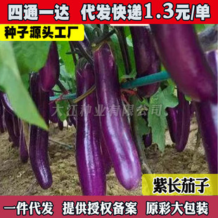 �ϼt�L�ѷN�Ӵ����ļ���@�̨���������ļ��Nֲ�Ϲ�ͥԺ�߲˷N��