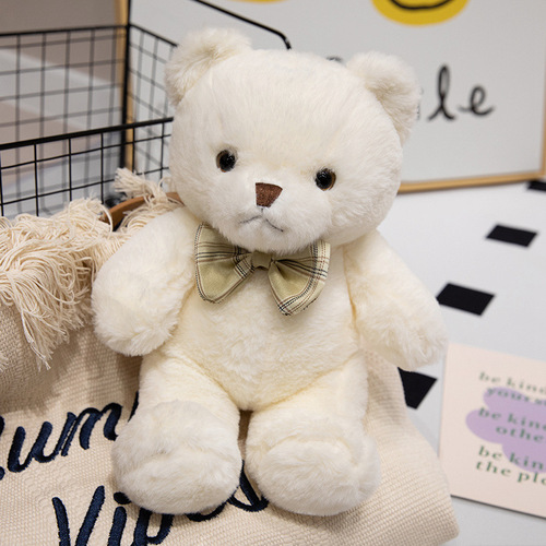 2024 New Cute Teddy Bear Plush Toy Teddy Bear Figure Hug Bear Fuzzy Toy Logo Customizable for Small Orders
