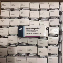 ����-�����x���۸�������ș��؈�乷���t�[؈�۸�������]-���l