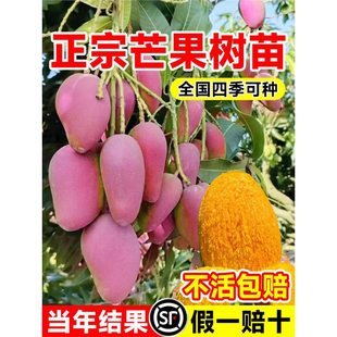 â���������ļ�â�����޽ӹ����̨ͥԺ���Ե��Ժ��B����Y��