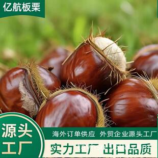 ���|�����w������̩ɽ��������40-60/30-40/40-50KG