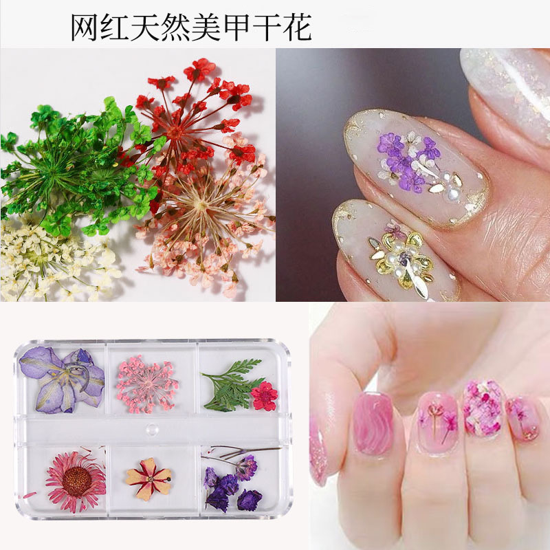 Uña flor seca japonesa pequeña fresca estrella de sol mixta flor real flor pequeña flor de manicura caja de flores secas manicura