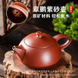 潮州大红袍紫砂壶小容量壶单壶精致功夫茶壶球孔出水泡茶壶单