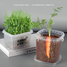 ��������ֲ��ˮ��NֲС�������Bֲ���ϵ���L�^������տ����}��