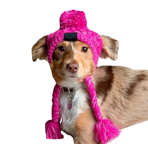 New pet headgear autumn and winter fur ball warm and anti-freeze wind puff ball knitted French bulldog knitted hat for large and small dogs