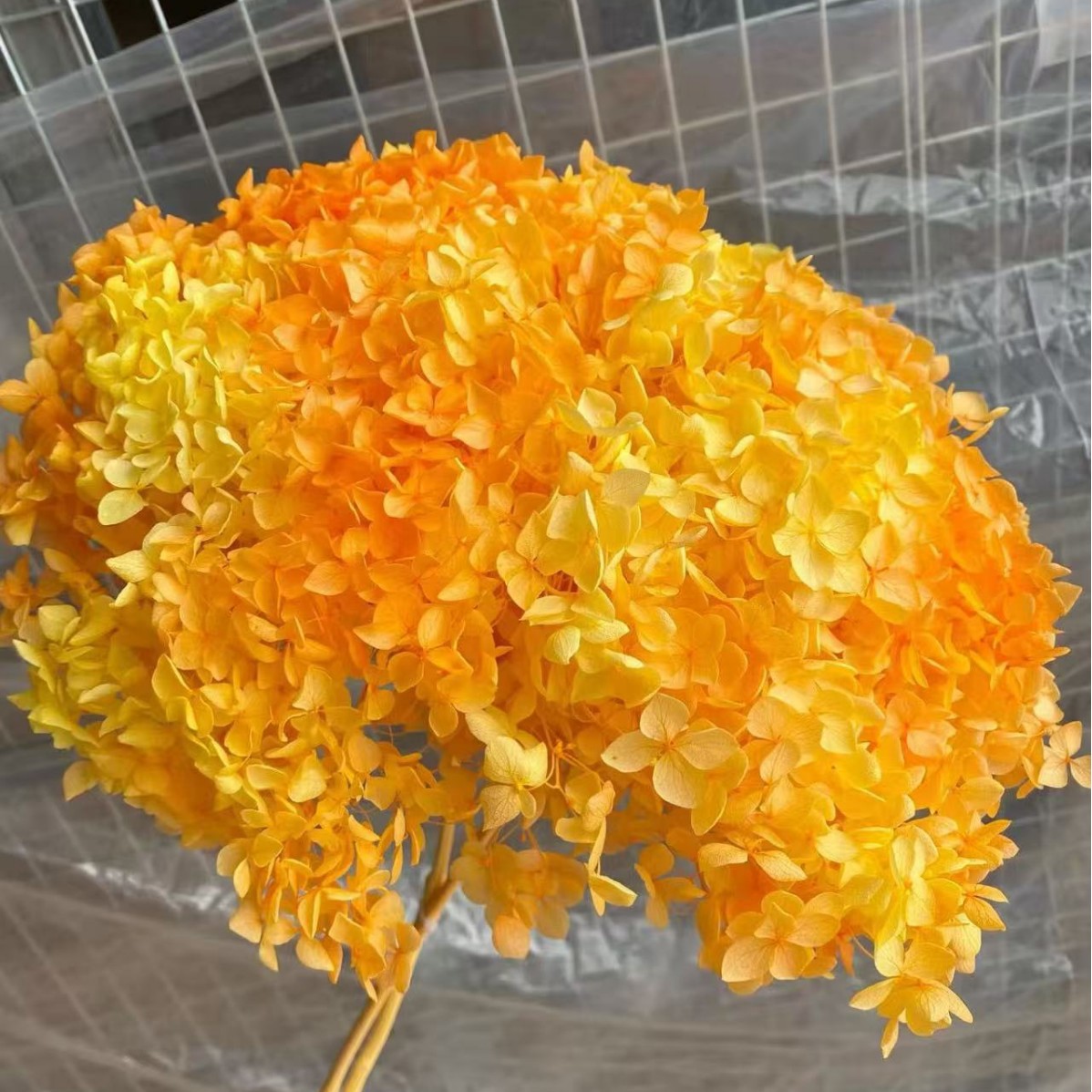 Flores eternas hortenida flores secas Anna hortenida hojas hortenida cabeza de hortenida flores eternas cubierta de vidrio material ramo diy