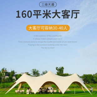Wanzhongshan Tent Rainproof Camping Outdoor Folding Oxford Cloth Canopy Courtyard Sun Protection Double Peak Awning Wholesale