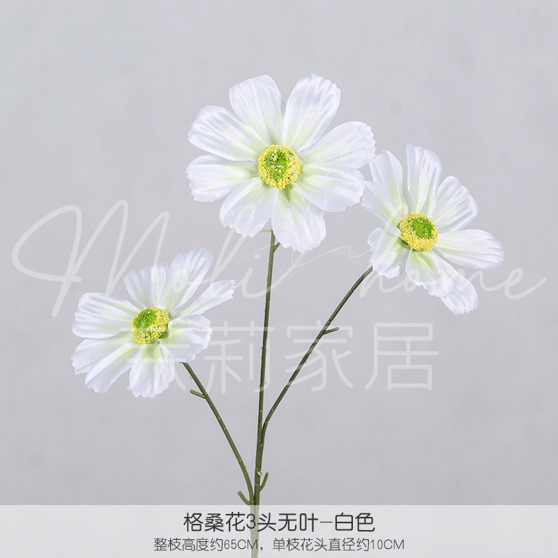 화이트 1#-잎이 없는 3개의 콜산 꽃