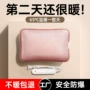 保温充电式插电断电暖手宝