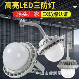 投光灯;投射灯;路灯