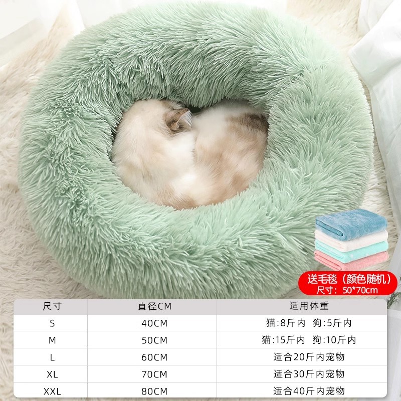 Invierno de invierno