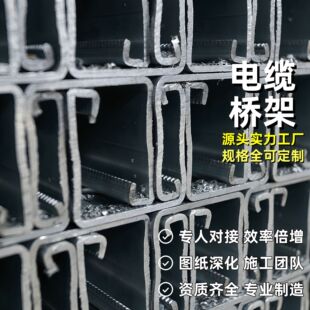 Excellent Cable Tray Manufacturer Stainless Steel Aluminum Alloy Tray Spray Plastic Fireproof Hot-Dip Galvanized Pallet Ladder Type Tray