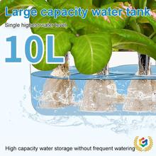 ?�羳ˮ���߲˶��ӷNֲ�C�҃ȟo������ܷN�˙C�Nֲ�����ܷN�˙C