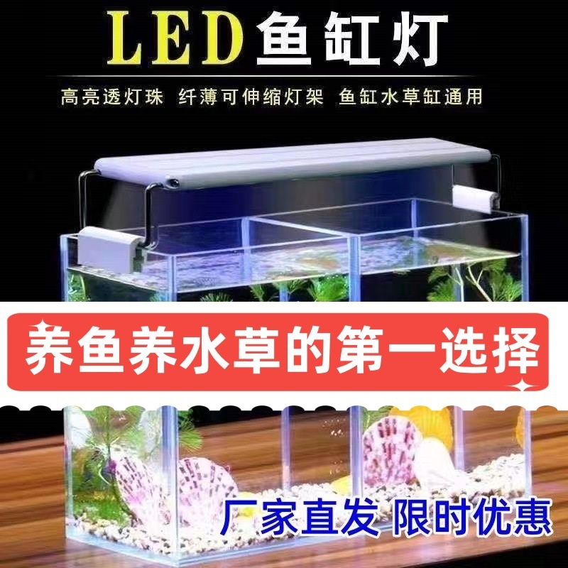 6d63ca81-ebf4-4d9b-bc88-50119d4c7156.jpe