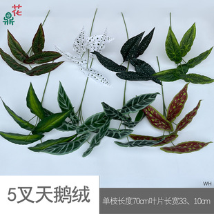 5�����Z�q ��֧���Z�q ��c�Ƶ��bGֲ�ٻ� �羳���Q���l���滨