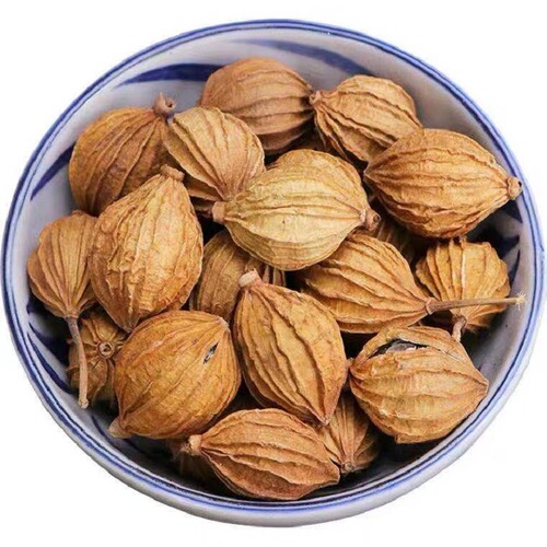 Wholesale sourced from Sichuan: Premium, fully dried Amomum villosum—ideal for enhancing the aroma and flavor of meat stews and other dishes as a versatile spice seasoning.