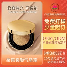 定制柔焦雾颜气垫霜遮瑕保湿持妆干皮混油不易脱妆气垫OEM代加工