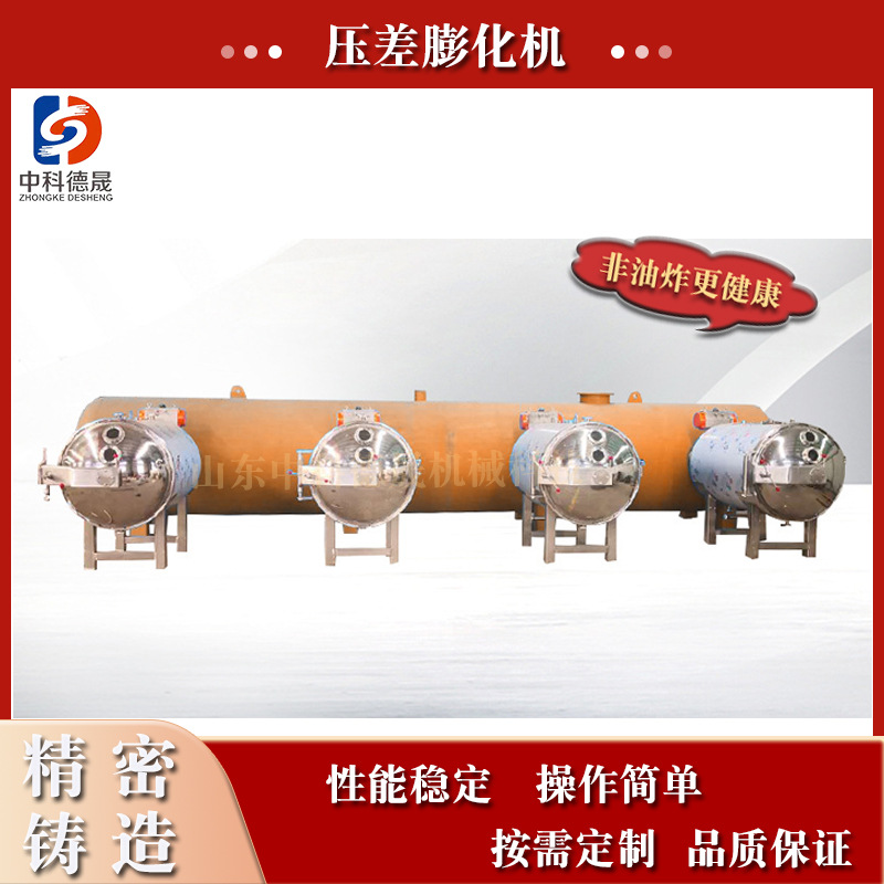 苹果片大枣膨化非油干燥机海带海苔低温真空压差冻干设备品牌价格