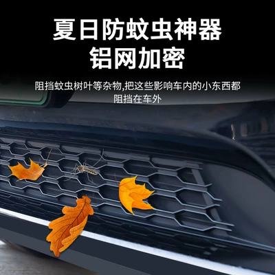 for ModelY/3 Tesla insect: Automobile anti-insect net