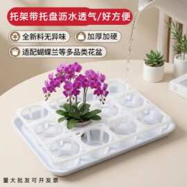 12孔15孔蝴蝶兰托盘托架白色加厚蝴蝶兰组盆托架多肉盆双色盆托架