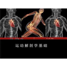 肌肉课程书籍肌肉组织解剖运动全身与培训解剖健身解剖学教学视频