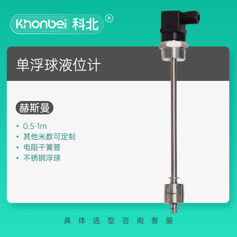 Kebei 防爆フロートレベルスイッチ磁気投入型センサートップ/サイドマウントリードスイッチメーター|undefined