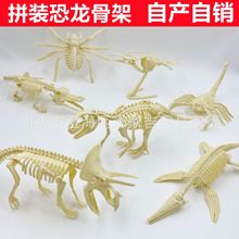批发考古恐龙骨架 大号挖掘恐龙化石 霸王龙骨架生产厂家批发现货