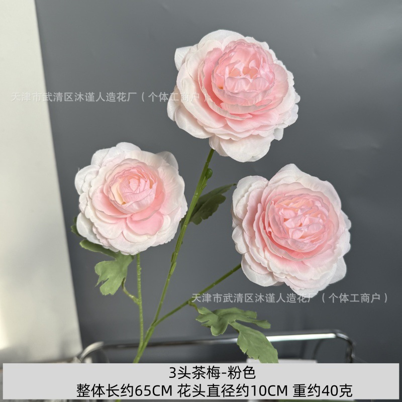 동백나무 3그루
