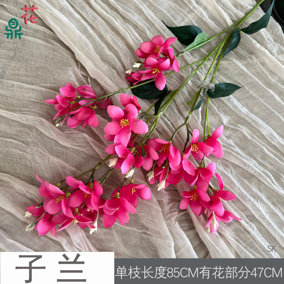 지란 SK 로즈 레드
