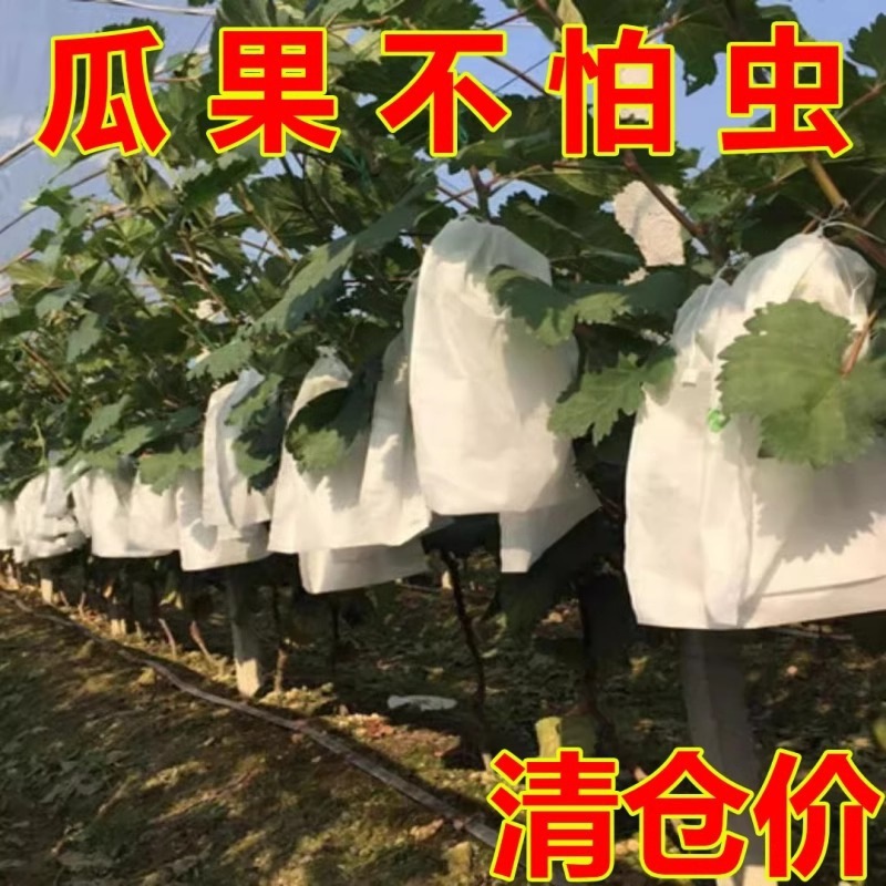水果套袋防鸟防虫专用网袋葡萄无花果枇杷芒果苹果袋草莓套袋批发