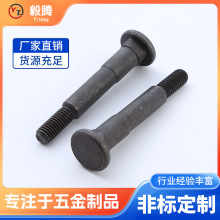 Դ^SҸߏQ198Bcݽz늺ƽ^͹˨