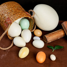 仿真蛋现货批发模型橱窗摄影道具鸡蛋泡沫鸵鸟蛋恐龙蛋鹌鹑蛋模型