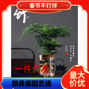 һ�����l����ˮ��ֲ�������҃��辰�Gֲ�k��������W�t���ܰlؔ��