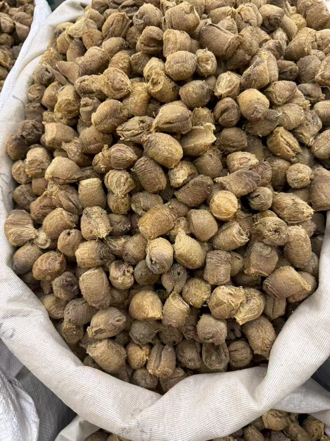 Dried Mantis Egg Case Sang Piao Xiao 桑螵蛸 TCM Herb for Wine Infusion and Decoction Sun Dried Anhui Origin preparation