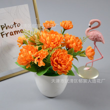 ���沤�}���辰����@���s�߲ʾղ͏d�������[��С����������