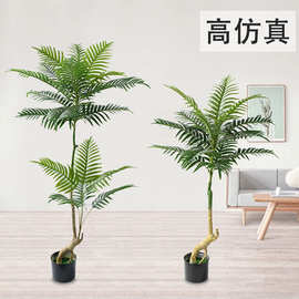 跨境仿生人造绿植散尾葵装饰ins风大型葵树摆件客厅摆件批发