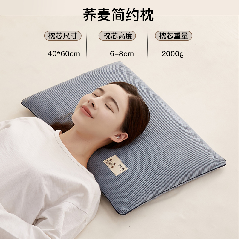 ZX Buckwheat Simple Pillow-Lake Blue LEKE40*60