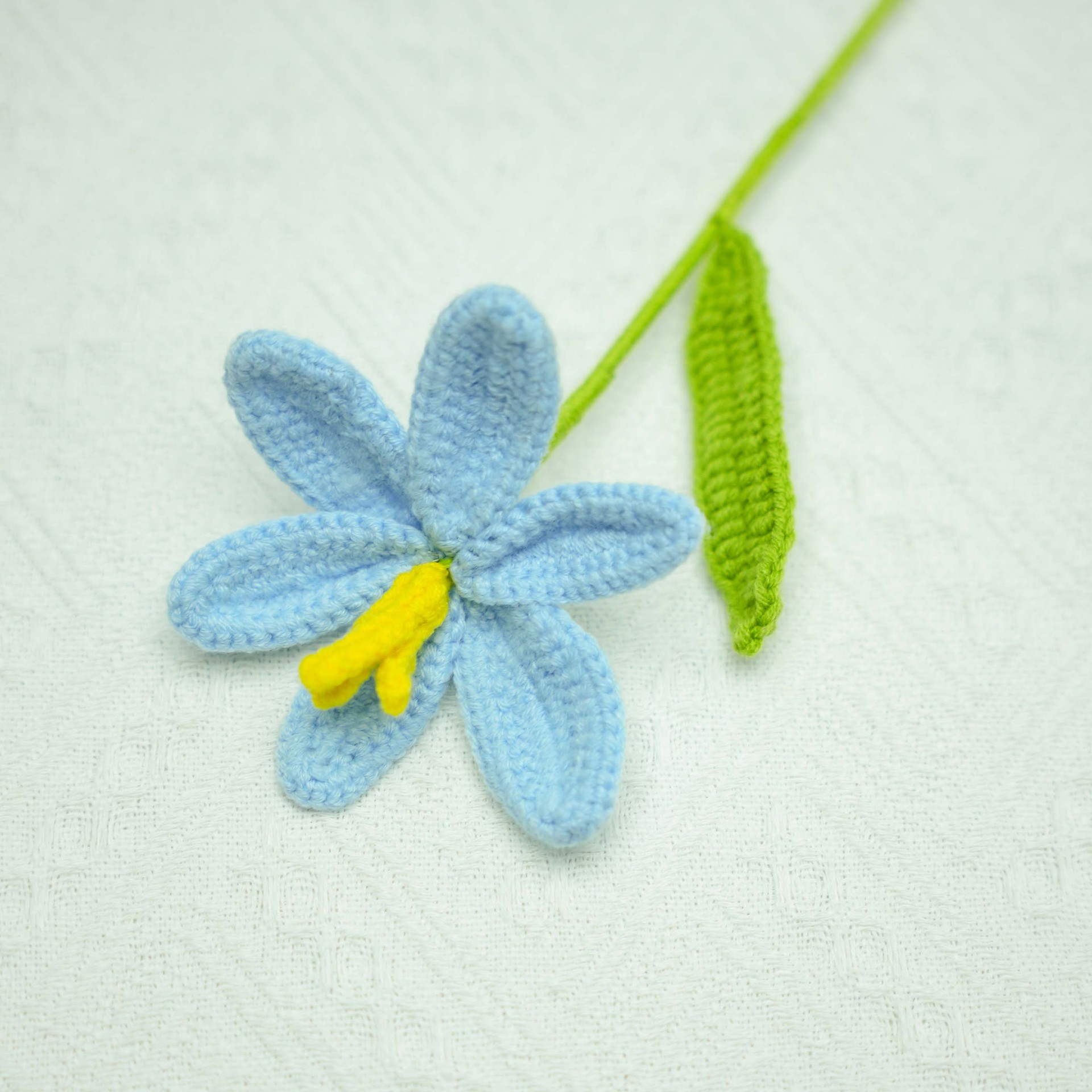 파란색 오픈 튤립