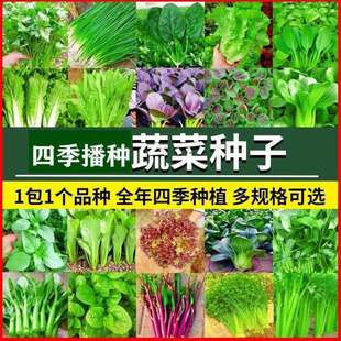 ���l�߲˷N���s���S�ϷN���S�Ĵ�ײ˷N��һ��