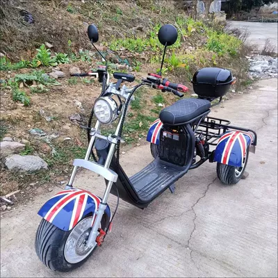 Elektrikli skuterlər | Two-Wheeled Adult Skateboard Scooter