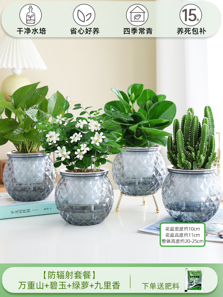 [방사선 방호 패키지] 완중산 + 벽옥 + 청무 + 구리향