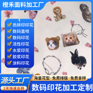 ���Ɣ��aֱ��ӡ�����D�Ƽӹ����b���Ϝ�]ţ�̽z�՚�Ӳ���ӡˢ�S