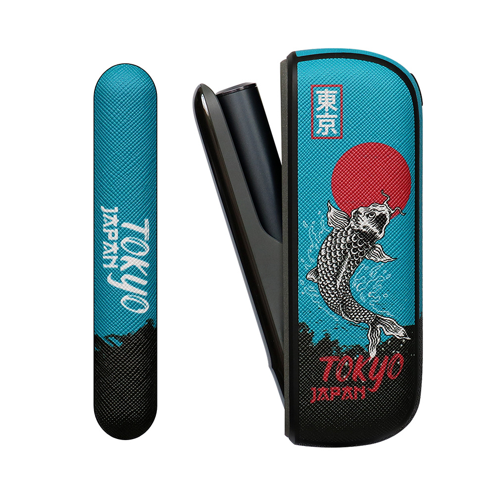 일루마 잉어 잉어