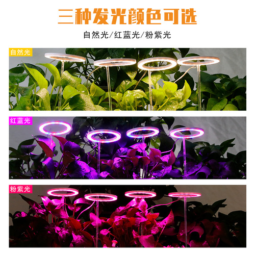Qianrun Lighting LED Angel Ring Plant Growth Light Indoor Full Spectrum Succulent Supplement Light Smart Timer
