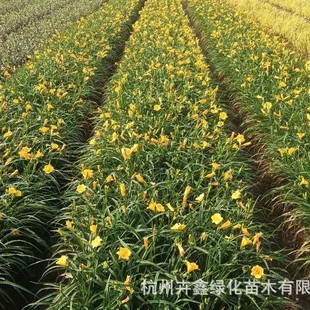 ���ش������l���G���ݽ��������ݸ�ϵ���ɻ��ʸ�