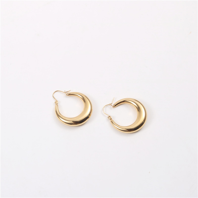 Moda Forma De U Acero Titanio Enchapado Aretes 1 Par display picture 5