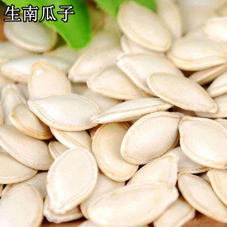 批发经销散装生南瓜子生葫芦籽生角瓜子50斤装大片南瓜籽烘焙原料
