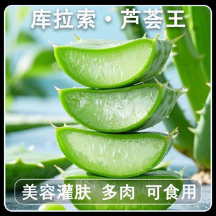 �S���C�������J�C����Ժ���ù��w��Ęֲ�����r�~Ƭ��ʳ�þGֲ����